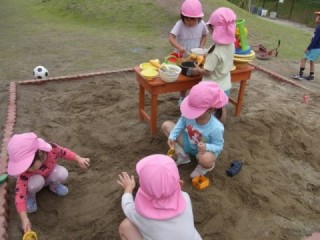代替テキストをご記入ください